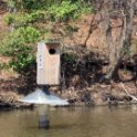 Duck House